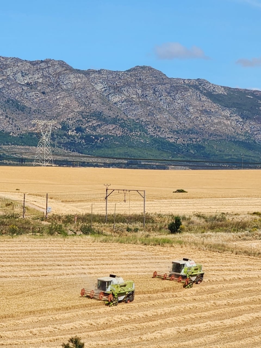 Commercial Property for Sale in Wolseley Western Cape